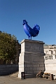 big blue cock